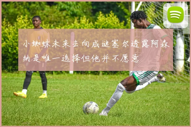 小蜘蛛未来去向成谜塞尔透露阿森纳是唯一选择但他并不愿意